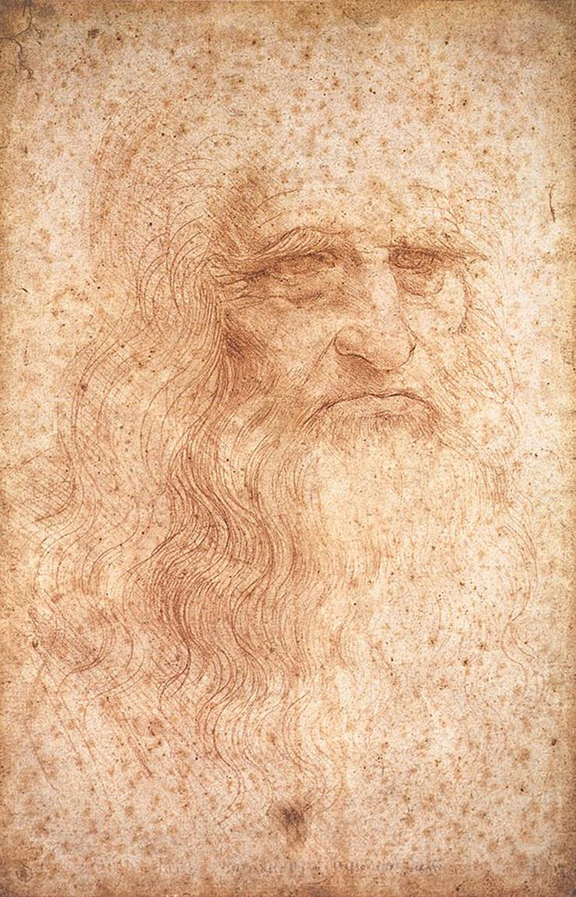 Red-chalk drawing traditionally identified as a self-portrait of Leonardo da Vinci