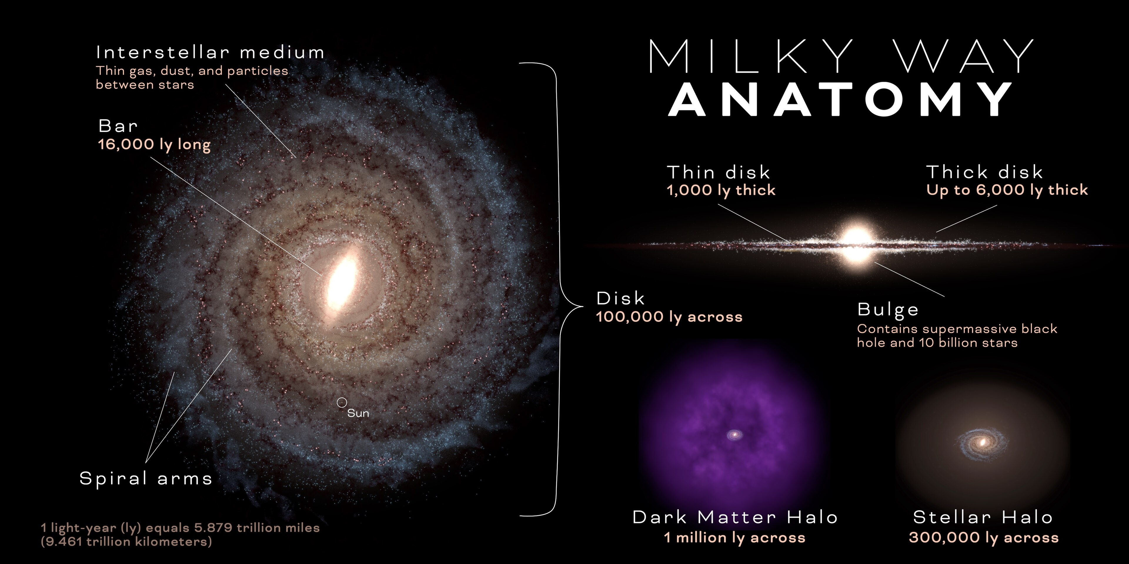 Infographic artist's concept of the Milky Way: a face-on barred spiral with the Sun marked on a spiral arm, beside edge-on views and labelled diagrams of the thin disk, thick disk, bulge, stellar halo and dark matter halo